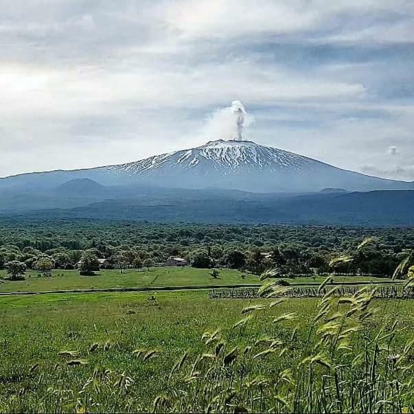 Vila Vecchio Forno Puntalazzo Exteriér fotografie